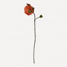 UND Ullfilt Poppy - Orange  thumbnail