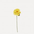 Ullfilt Stilk m/stor Blomst, Gul thumbnail