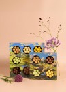 Spring Selection Box thumbnail