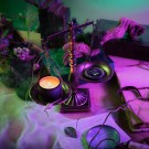 Voluspa Duftlys - Wicked Palo Santo Spells 113g, 25t *Forhåndsbestilling thumbnail