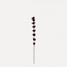 Ullfilt Stilk m/mange blomster, Plomme thumbnail