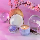 Voluspa Duftlys - Wicked Cherry Blossom Bubble 113g, 25t *Forhåndsbestilling thumbnail