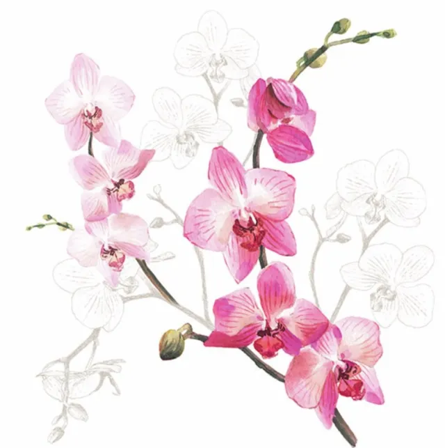 Orchid - lunsj 33x33, 20stk
