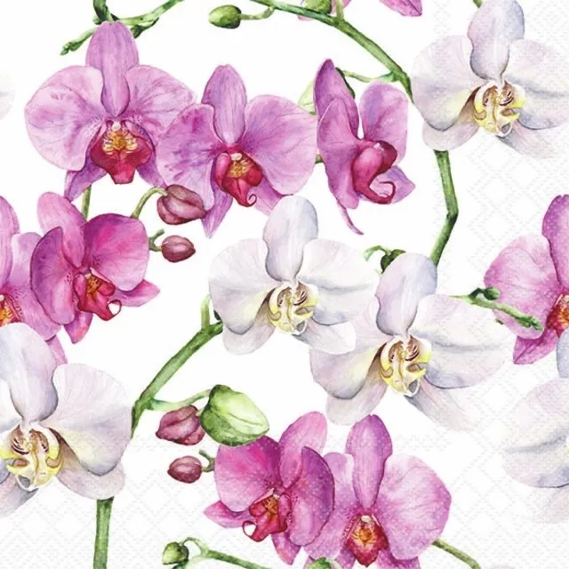 Elegant Orchids - Lunsj 33x33cm, 20stk