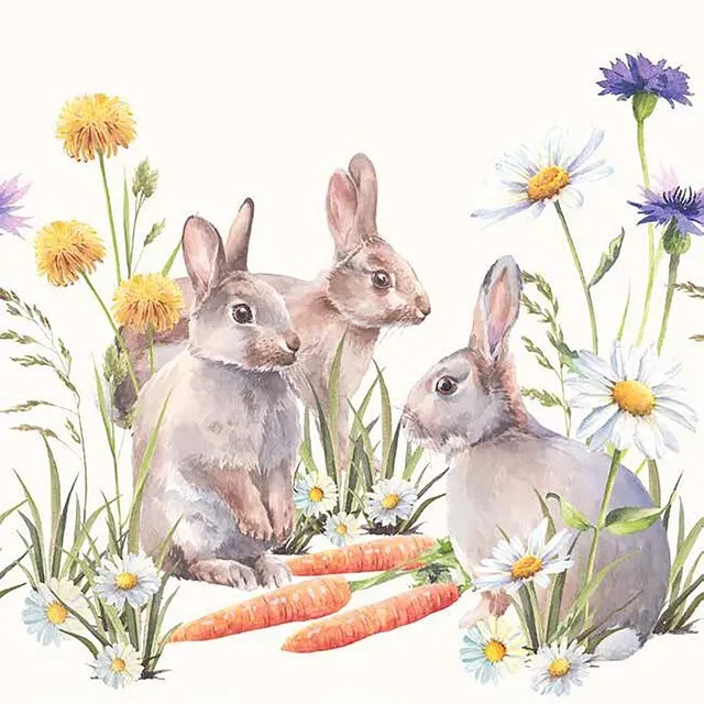 Carrot Treats - Lunsj 33x33cm, 20stk