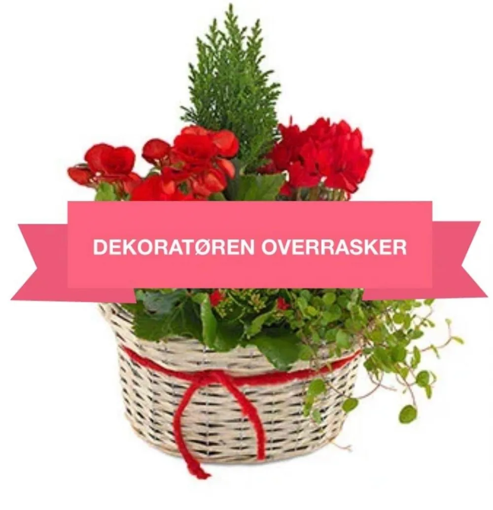 Produktbilde 1