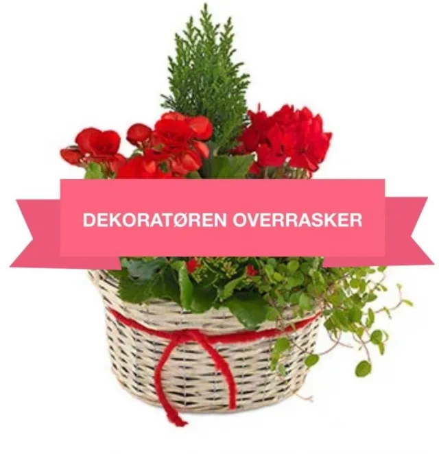 Plante Gruppe Dekoratøren overrasker